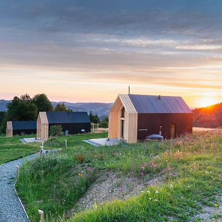Domy Wypoczynkowe W Beskidach - Odpoczywaj W Naturze Laskowa  Exterior foto