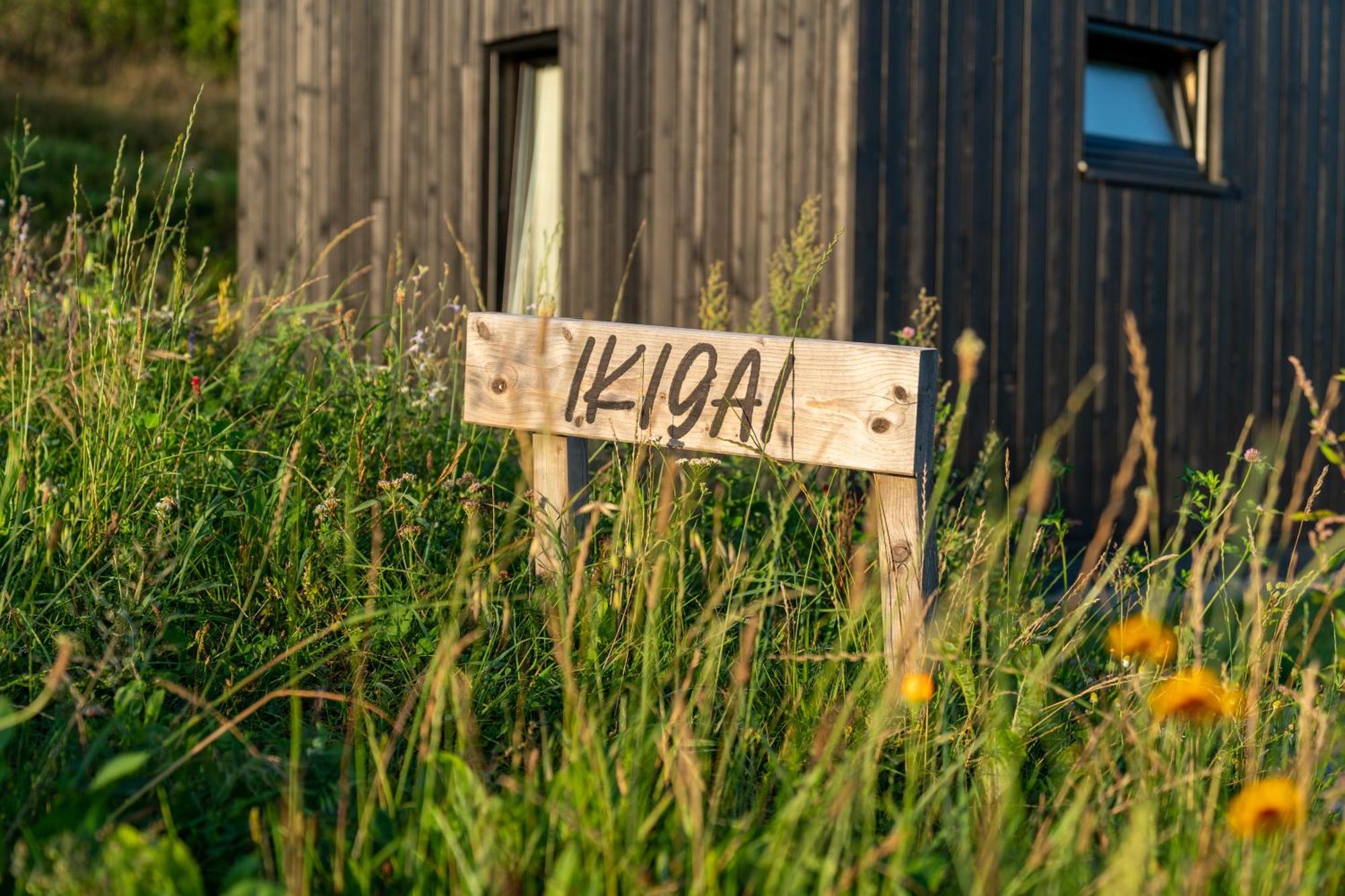 Domy Wypoczynkowe W Beskidach - Odpoczywaj W Naturze Laskowa  Exterior foto