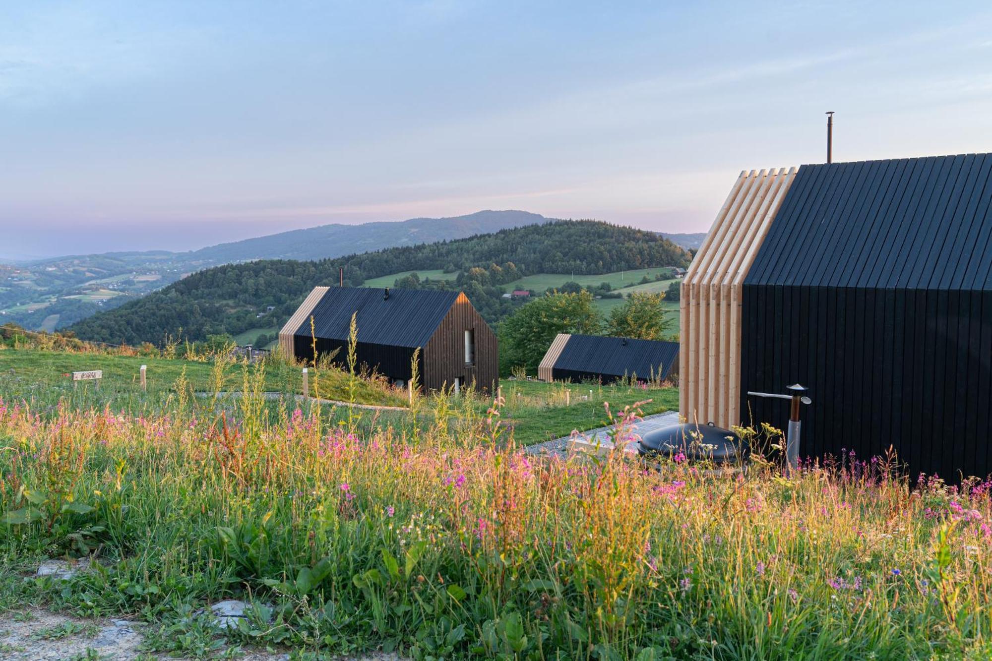 Domy Wypoczynkowe W Beskidach - Odpoczywaj W Naturze Laskowa  Exterior foto