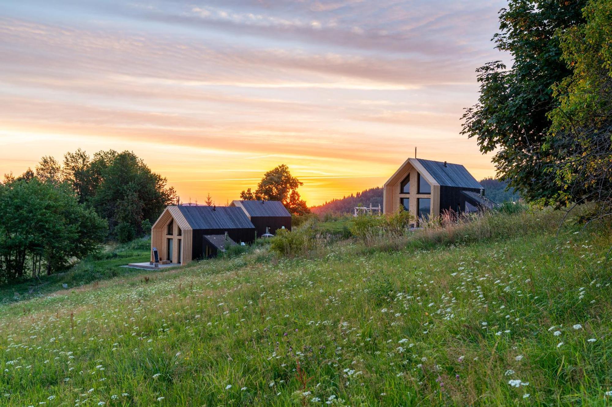 Domy Wypoczynkowe W Beskidach - Odpoczywaj W Naturze Laskowa  Exterior foto